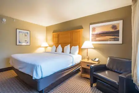 Best Western Plus GranTree Inn - 131