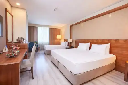Dedeman Konya And Convention Center - 37