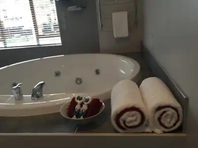 Aubyn Court Spa Motel - 6