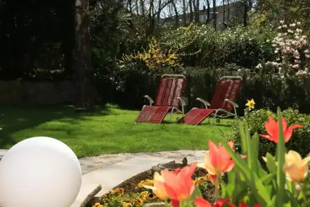 Alexa - 13
