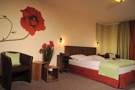 Mosel& Restaurant Zur Traube Gmbh - 13