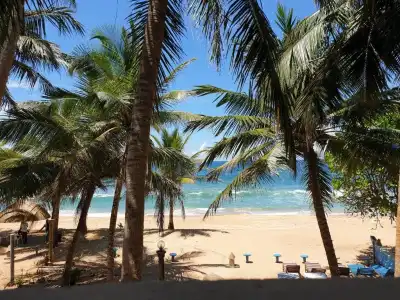 Oasey Beach - 38