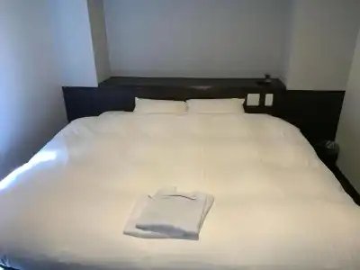 Nagoyaeki Accesshotel - 35