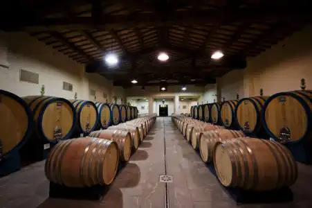 Borgo Scopeto Wine & Country Relais - 22
