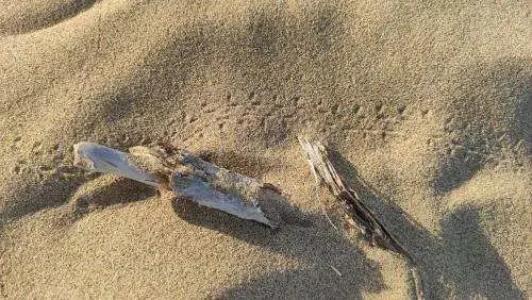 App4Rent - Villa Cristina 10 - Rinnovato - 6