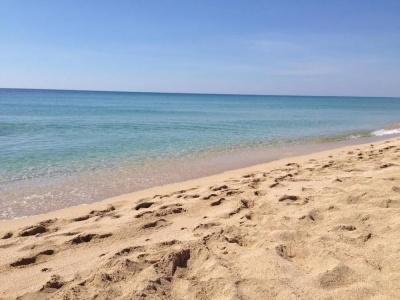 B&B Tenuta Canneddi - 18