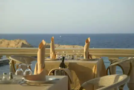 Delphin El Habib - 20