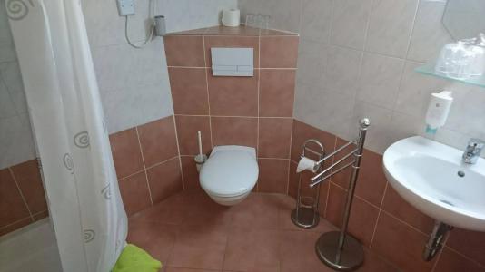 Hotel-Pension am Mühlberg - 8