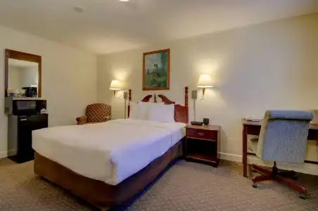 Senator Inn & Spa - 46