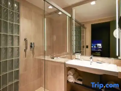 Pullman Sao Paulo Ibirapuera - 110