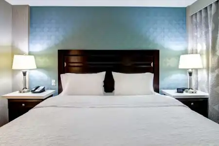 Hampton Inn & Suites by Hilton Calgary-Airport - 70
