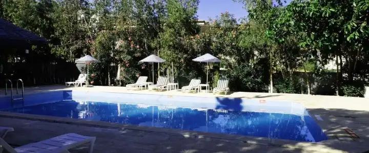 Tropicana - 14