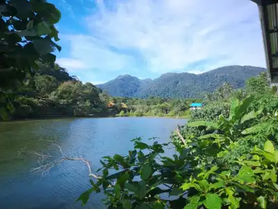 Yuyu Golden Beach - 27