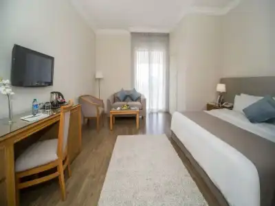 ALQasr Metropole - 87