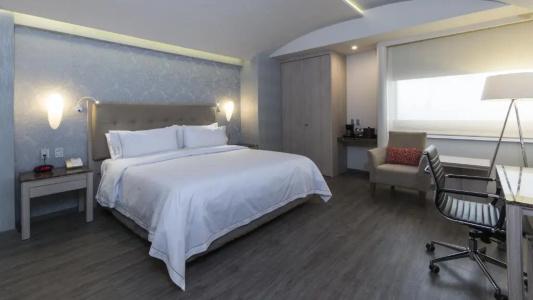 Holiday Inn Express Mexico - Toreo by IHG - 36