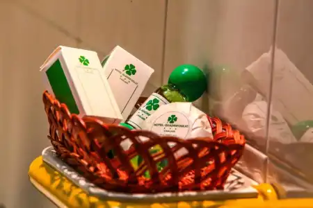Quadrifoglio - 25