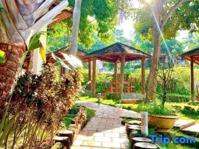 Daisy Resort - 114