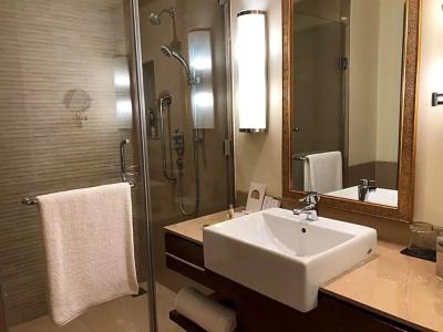DoubleTree by Hilton Agra - 36