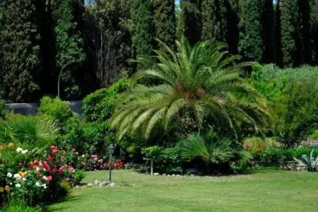 Villa Madrina Lovely and Dynamic - 25