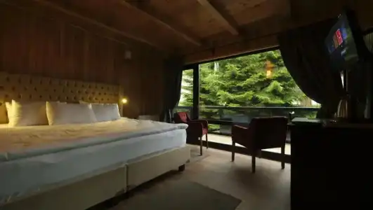 Ayder Villa de Pelit - 36