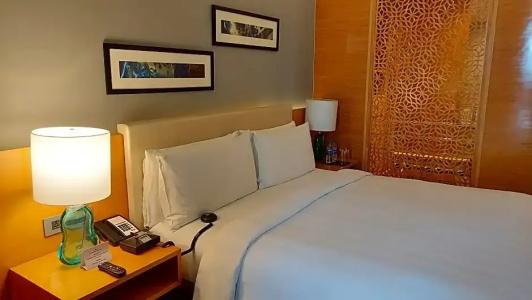 InterContinental Jaipur Tonk Road - 105