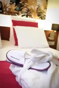 Mercure Perpignan Centre - 55