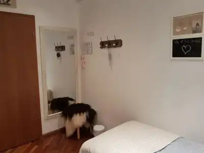 Skálatjörn Guesthouse - 13
