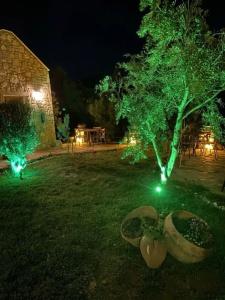 Sur7 Boutique - 34