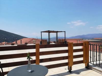 Leto Delphi - 80