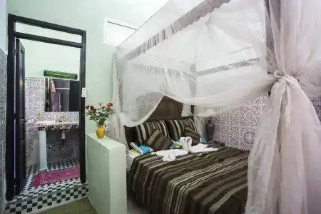 Riad Losra - 36