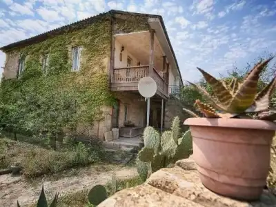 Bagrati Guest House - 10