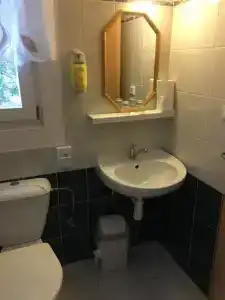 Tři růže - 33