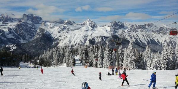 Belvedere & Paradise Club Center - 31