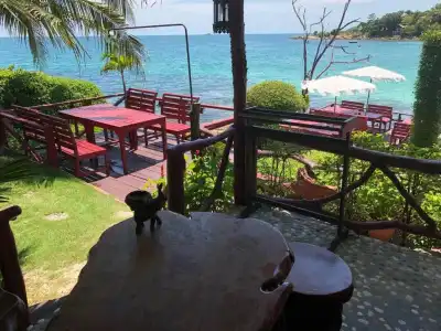 Tongta Phaview - 35