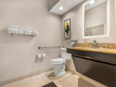 Comfort Inn & Suites Saint Louis Lafayette Square - 41