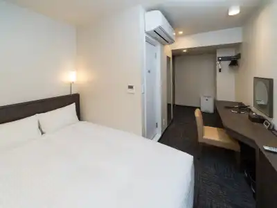 Sotetsu Fresa Inn Ochanomizu Jimbocho - 37
