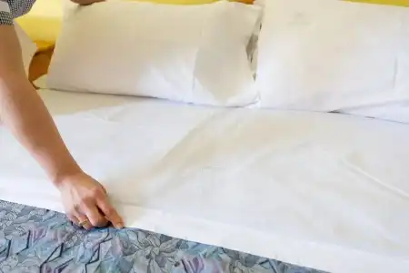 Iris - 6