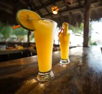 Cabarete Boutique Ecolodge Beachfront - 10