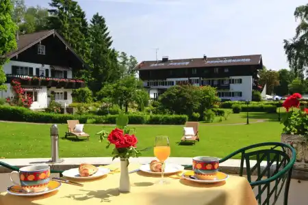 Garden Reinhart - 9