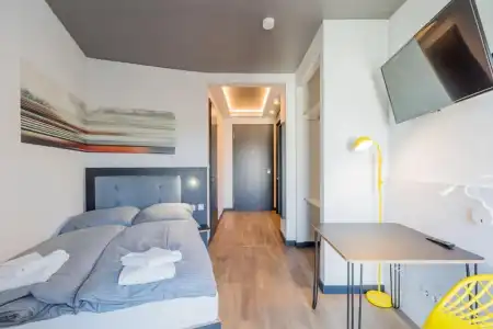 Homaris Kreuzberg 61 - 19
