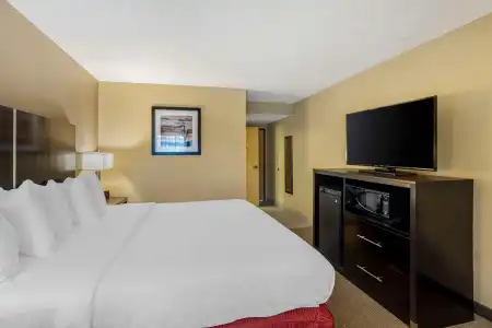 Best Western Harrisburg North - 4