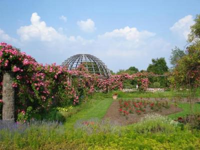 Holiday Inn Express DARMSTADT by IHG - 10