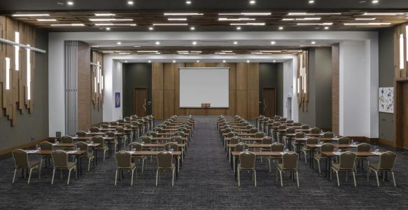 DoubleTree by Hilton Manisa - 32
