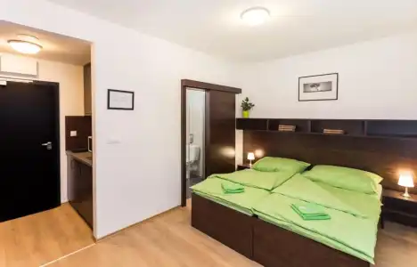 Barok and Apartments - 58