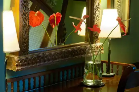 Reef Villa - 168
