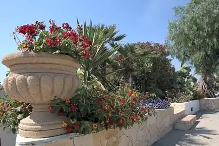 Villa Carlo Resort - 37