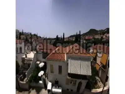 Kamelia - 3