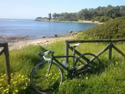B&B Il Vigneto - 15