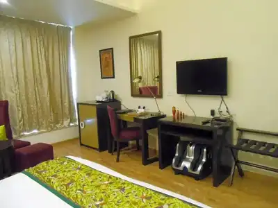 Pipal Tree - 50
