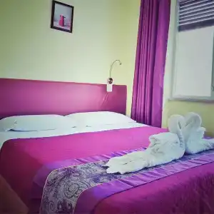 Bed and Breakfast CICLAMINO - 41